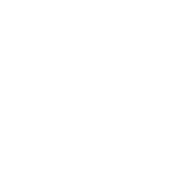 Flash icon